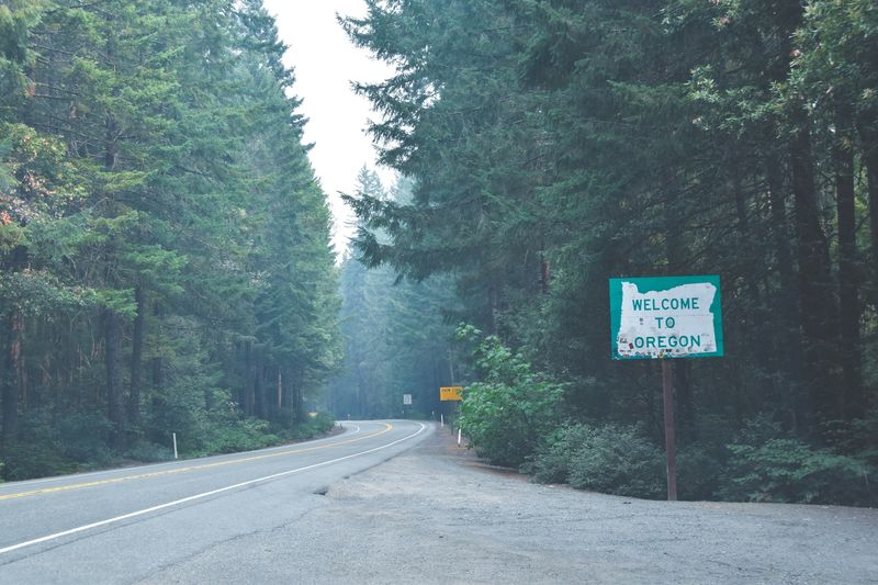Towering pine trees line a road with a sign to the side that says, "Welcome to Oregon"