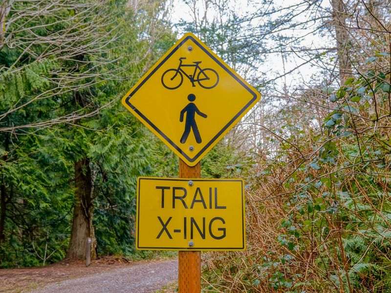 A yellow Trail X-ING sign next to dirt road