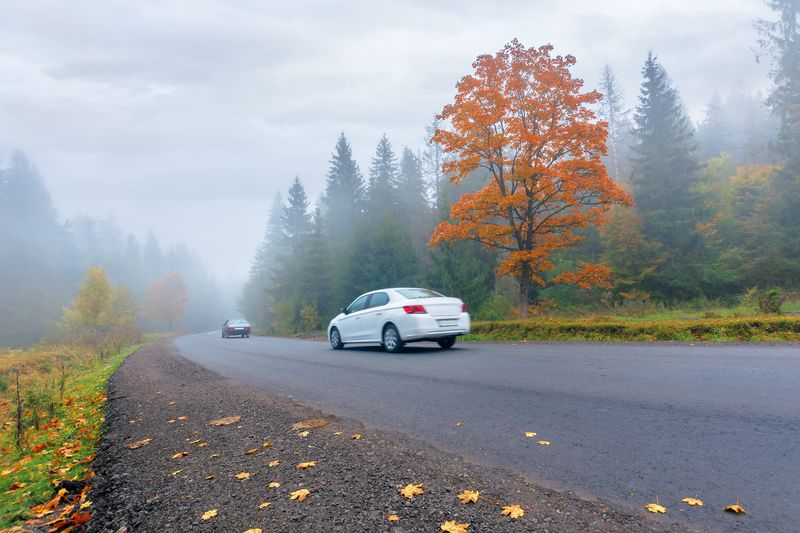 Two cars drive along a forested road into a foggy haze